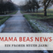 Mama Beas News - ein frohes neues Jahr!; Mamabeasblog;