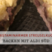 Histaminarmer Streuselkuchen - backen mit Aldi Süd; leckeres Rezept