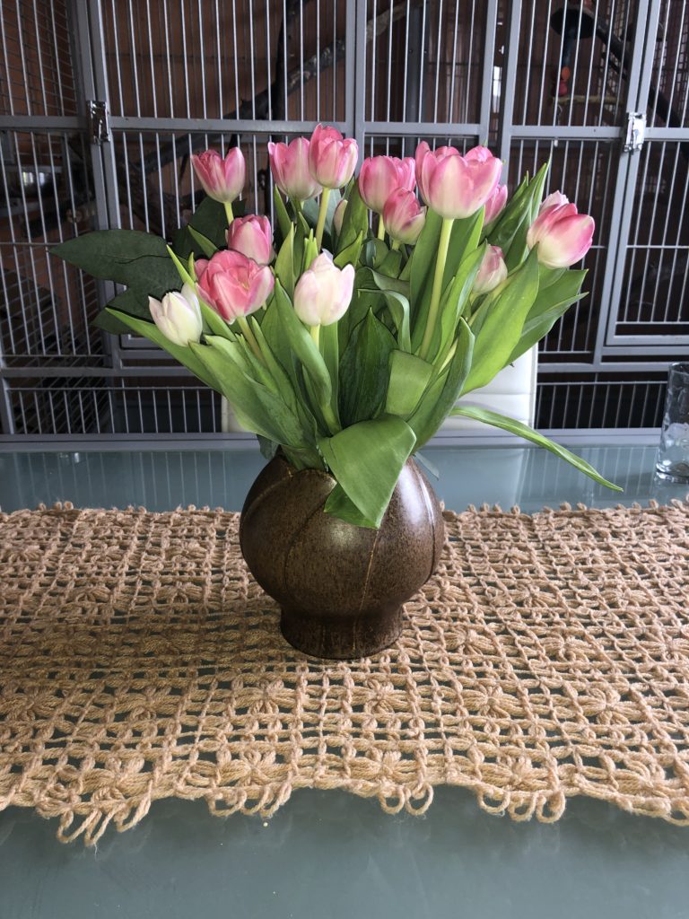 Histaminarmen Spargel genießen; Tulpen; Frühling