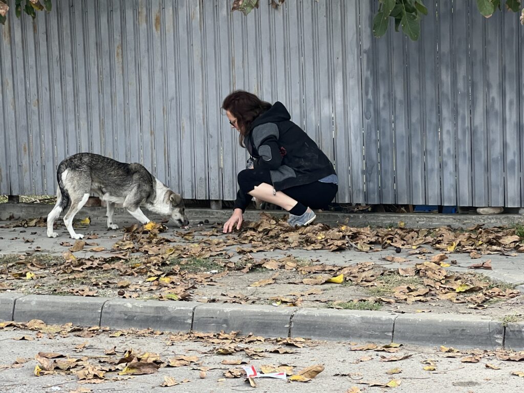 Meine Reise nach Rumänien im Namen der Hunde; Stefanie füttert einen Strassenhund