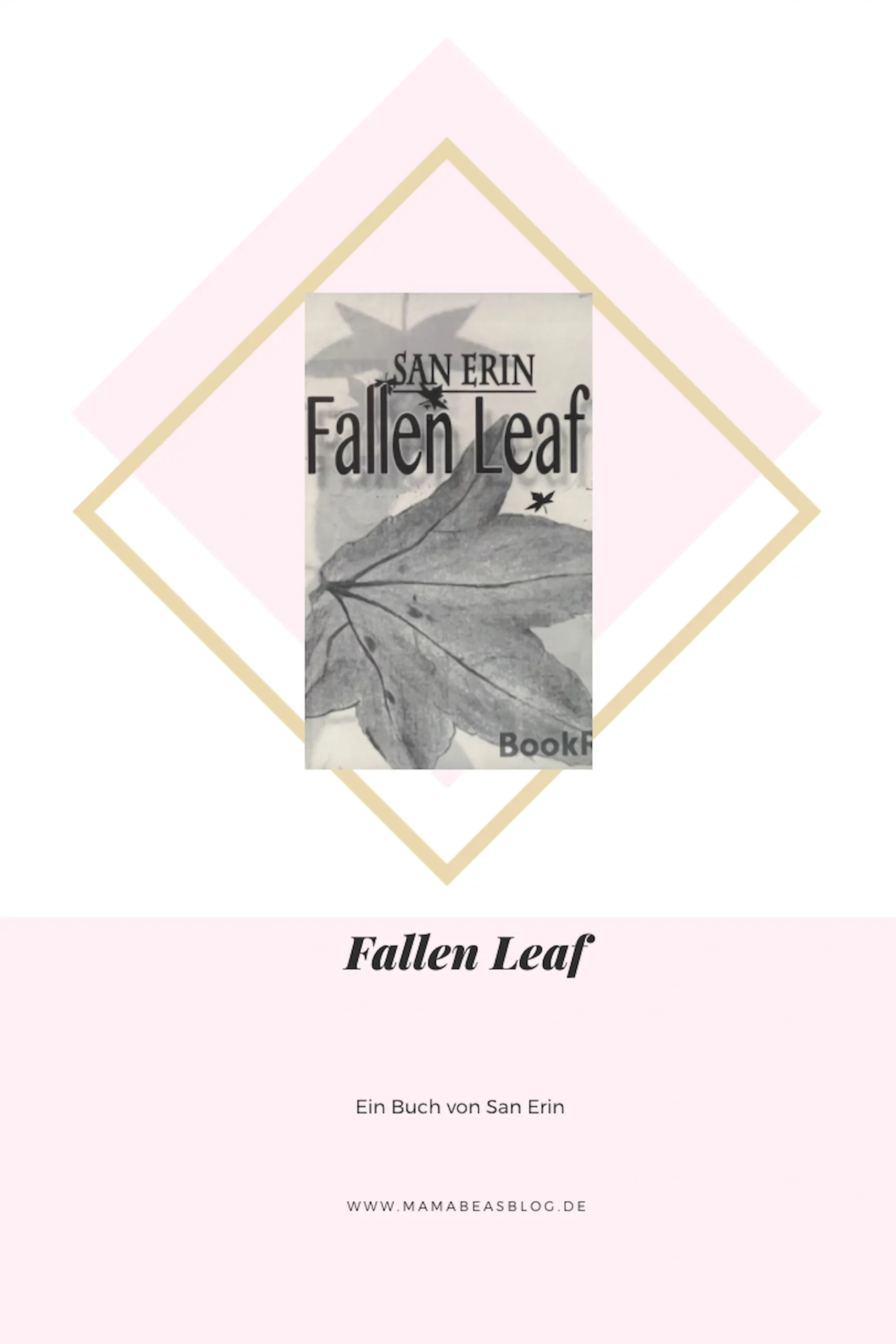 Fallen Leaf - San Erin, Beitragsbild