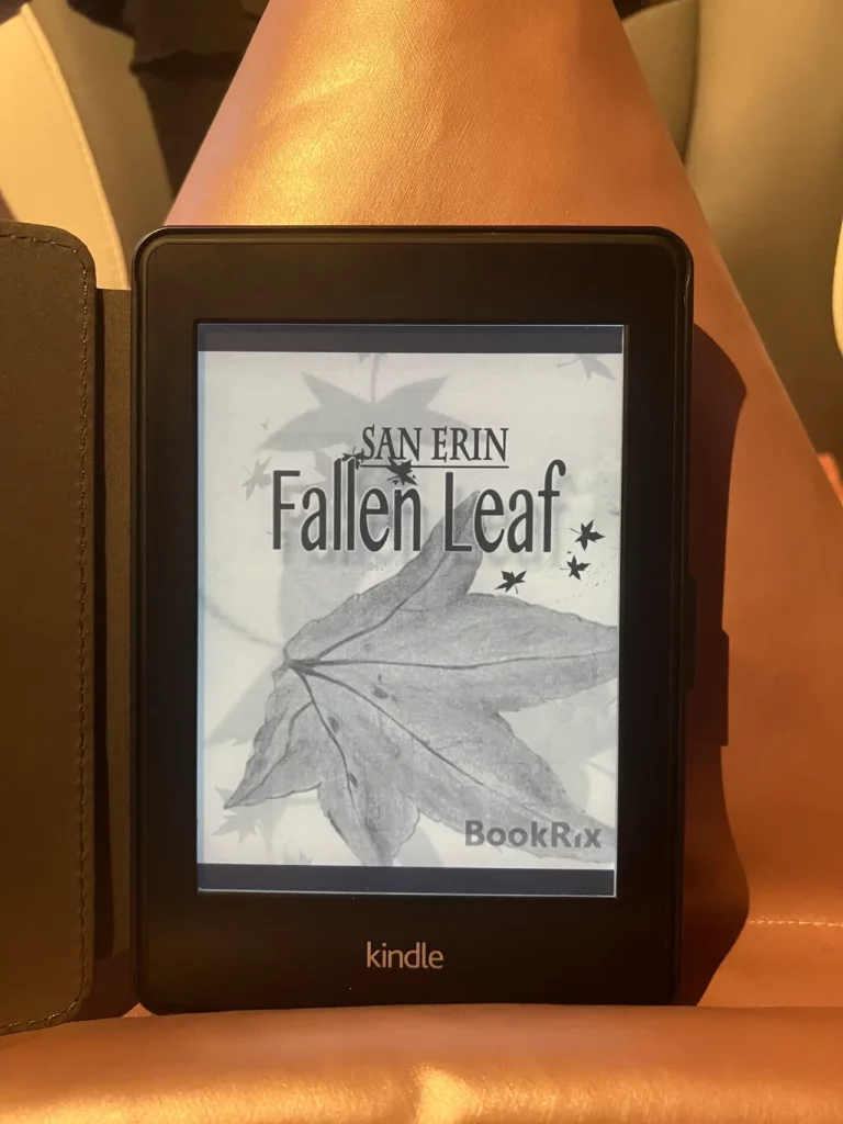 Fallen Leaf - San Erin