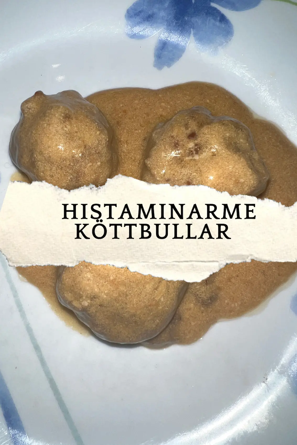 Histaminarme Köttbullar; Cover