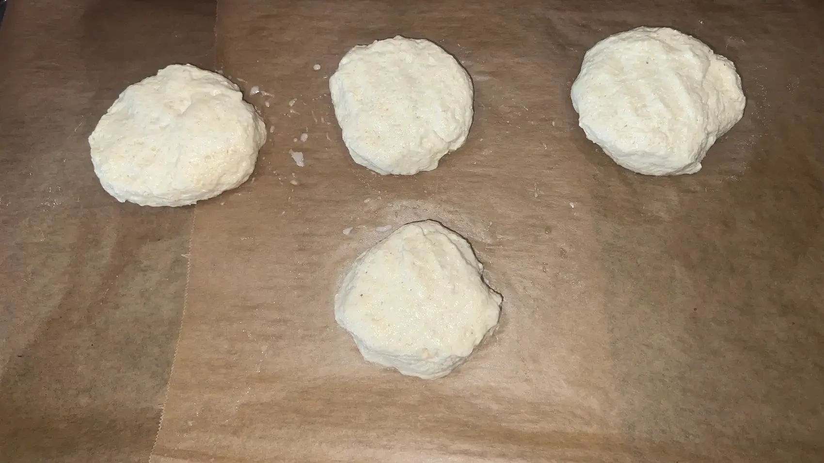 Burger Bun Rohlinge